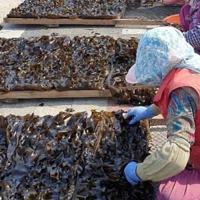 청등도돌미역 100%자연산 해녀들이 채취한 울진 건조 돌미역, 500g