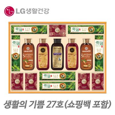 쇼핑백판매 LG 생활의 기쁨 27호 선물세트_쇼핑백 포함, (판매:배나트리) 1, 위자드 본상품선택