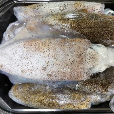 무늬오징어 국내산 급냉 대왕 무늬오징어 1kg (3-5미 내외)